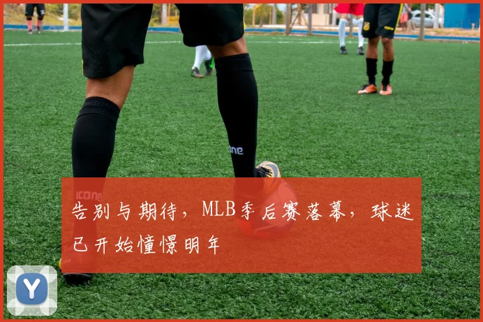 告别与期待，MLB季后赛落幕，球迷已开始憧憬明年